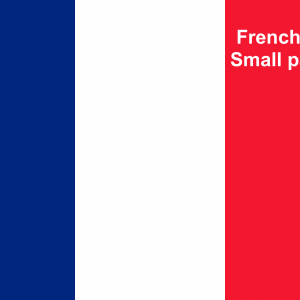French online courses